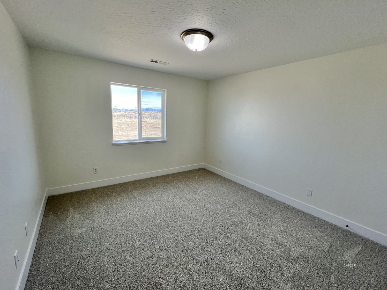 4316 Campbell Road Property Photo 19