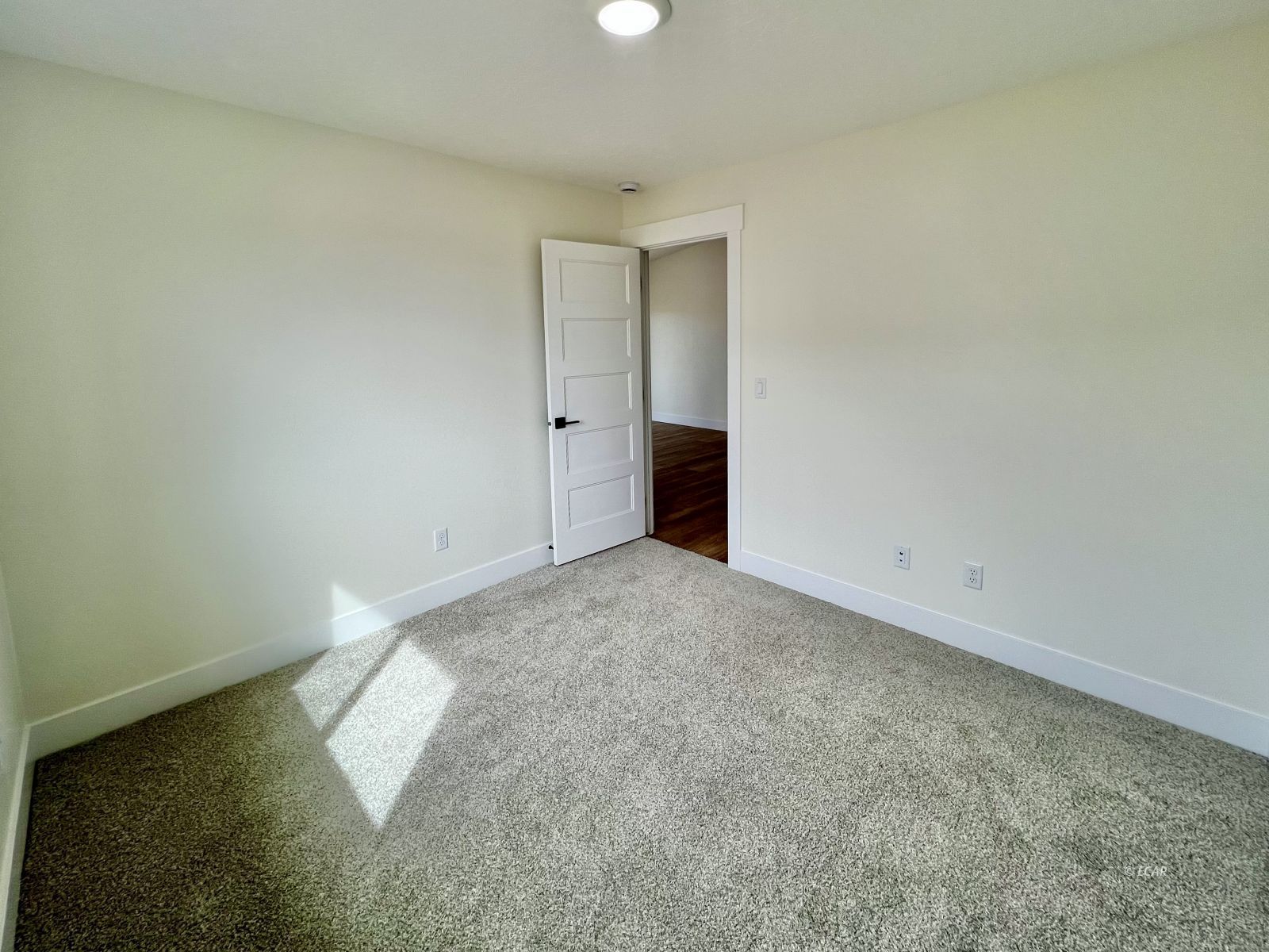 4319 Windsor Avenue Property Photo 17