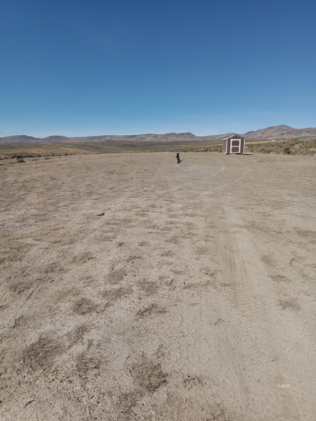 2833 Lupine Street Property Photo 4