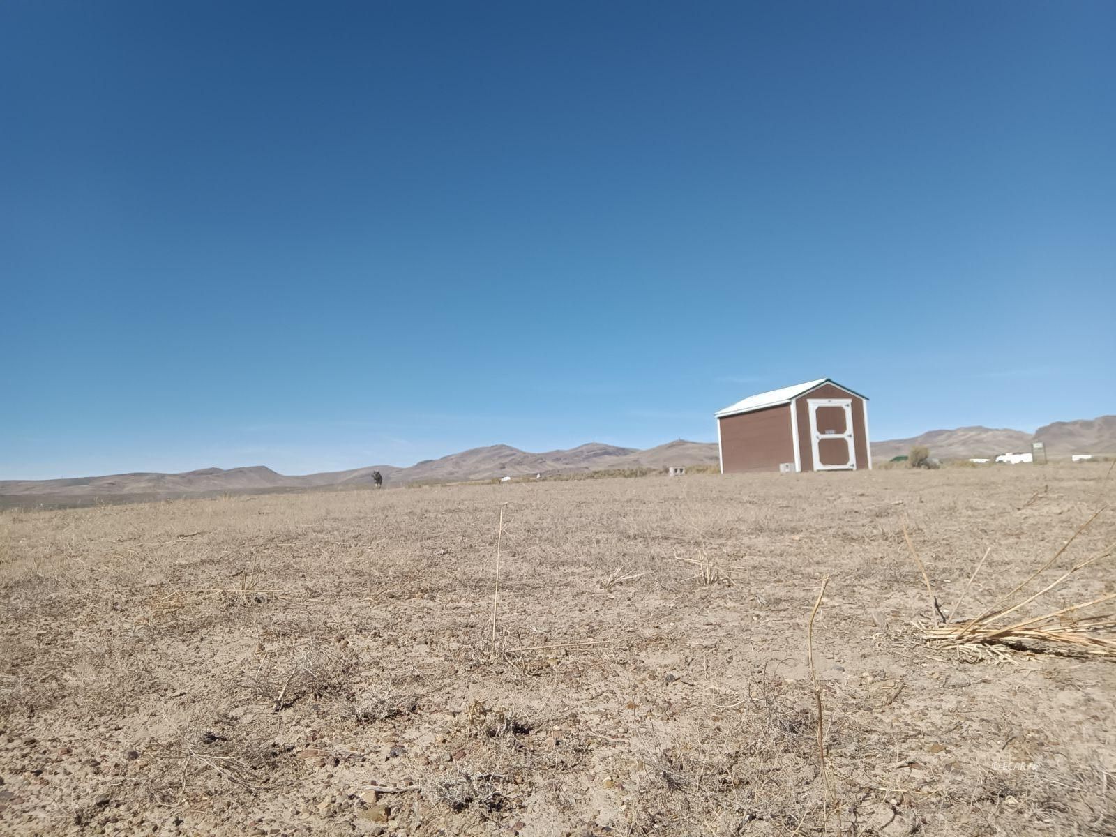 2833 Lupine Street Property Photo 5