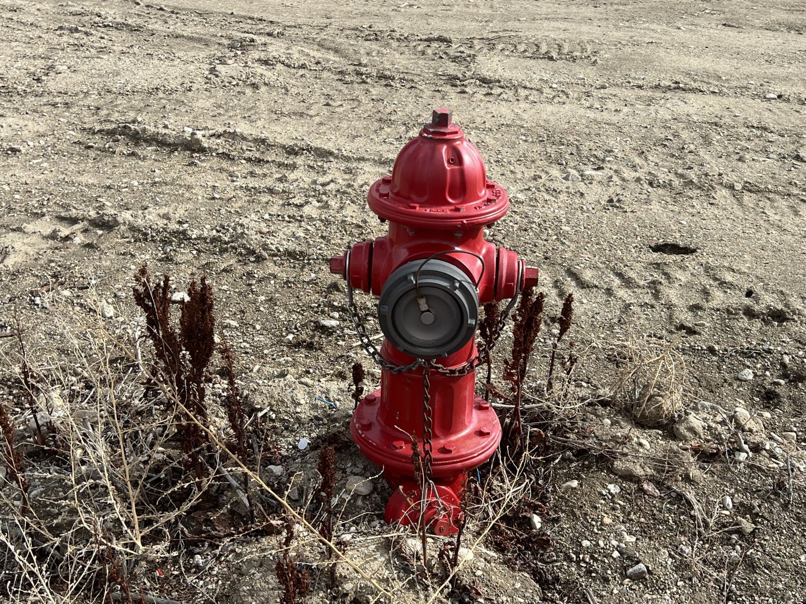 264 Ann Way Property Photo 17