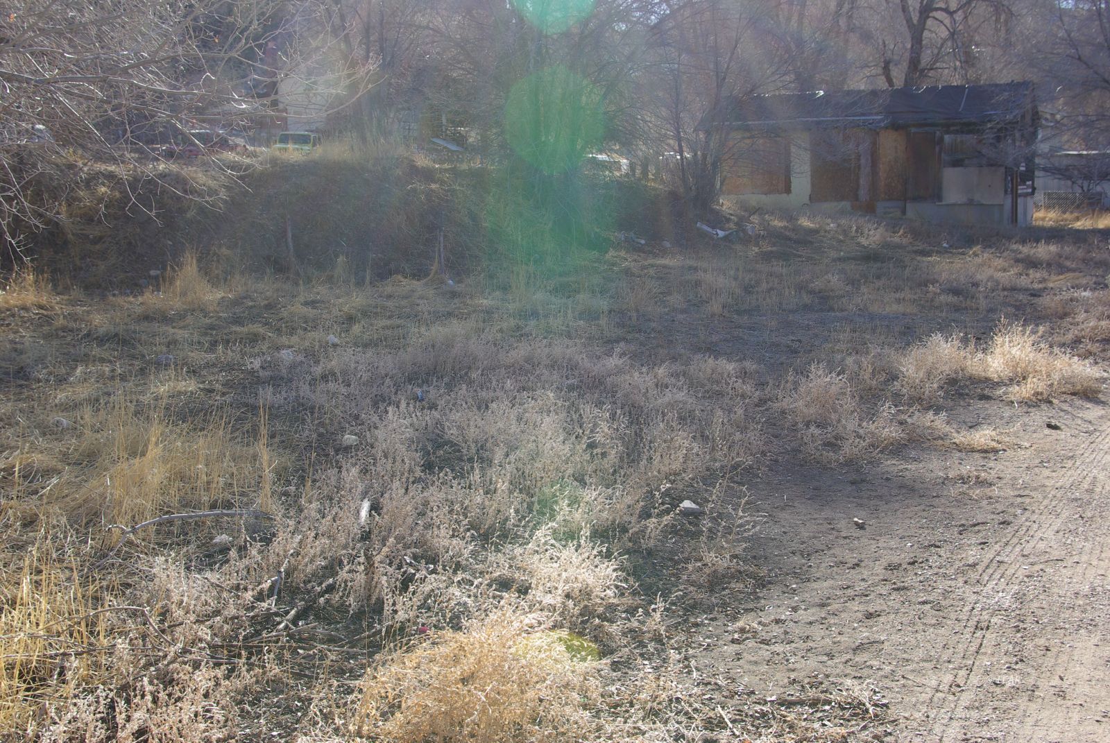 1265 Aultman Street Property Photo 10