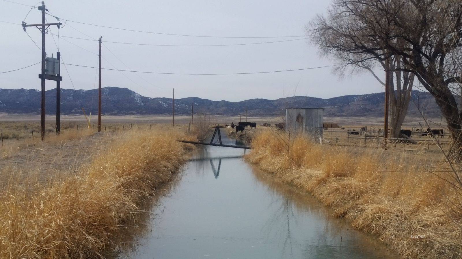 County Road Road Property Photo 4