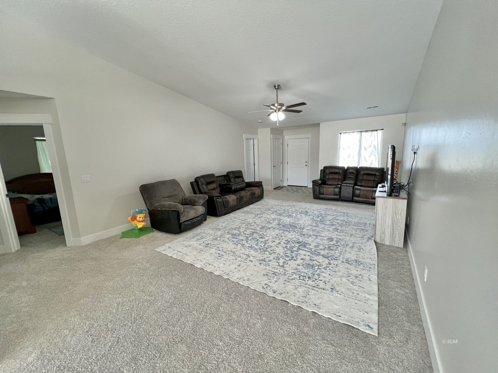 114 Spring Creek Parkway Property Photo 4