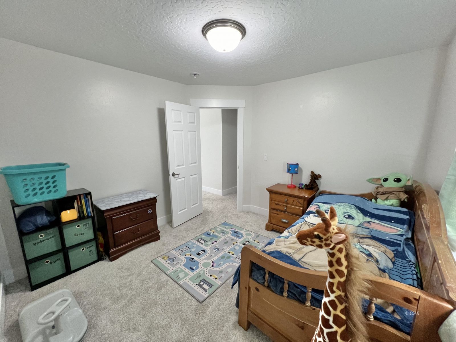 114 Spring Creek Parkway Property Photo 21