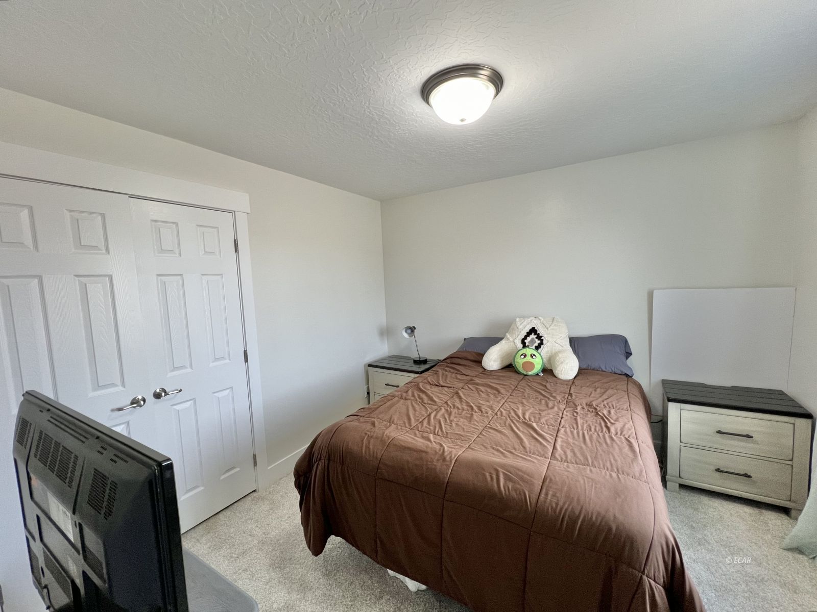 114 Spring Creek Parkway Property Photo 22