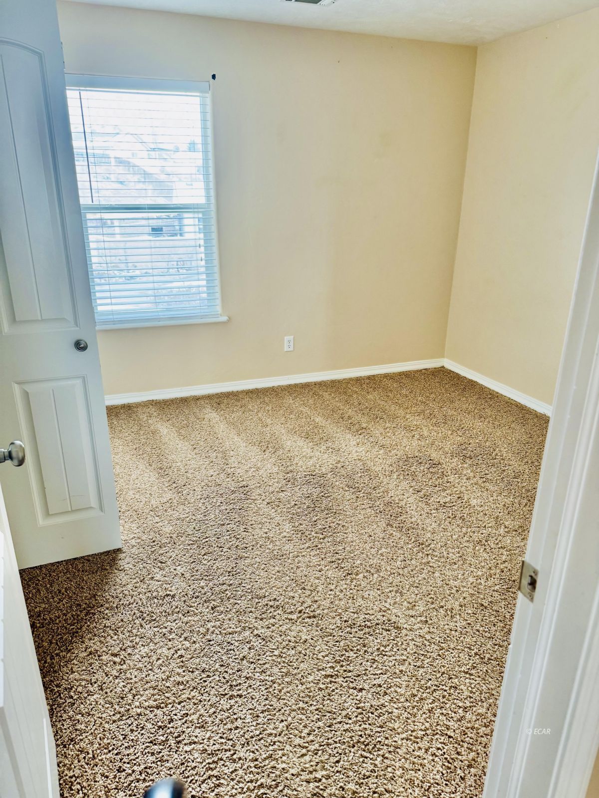 3020 Callie Court Property Photo 4
