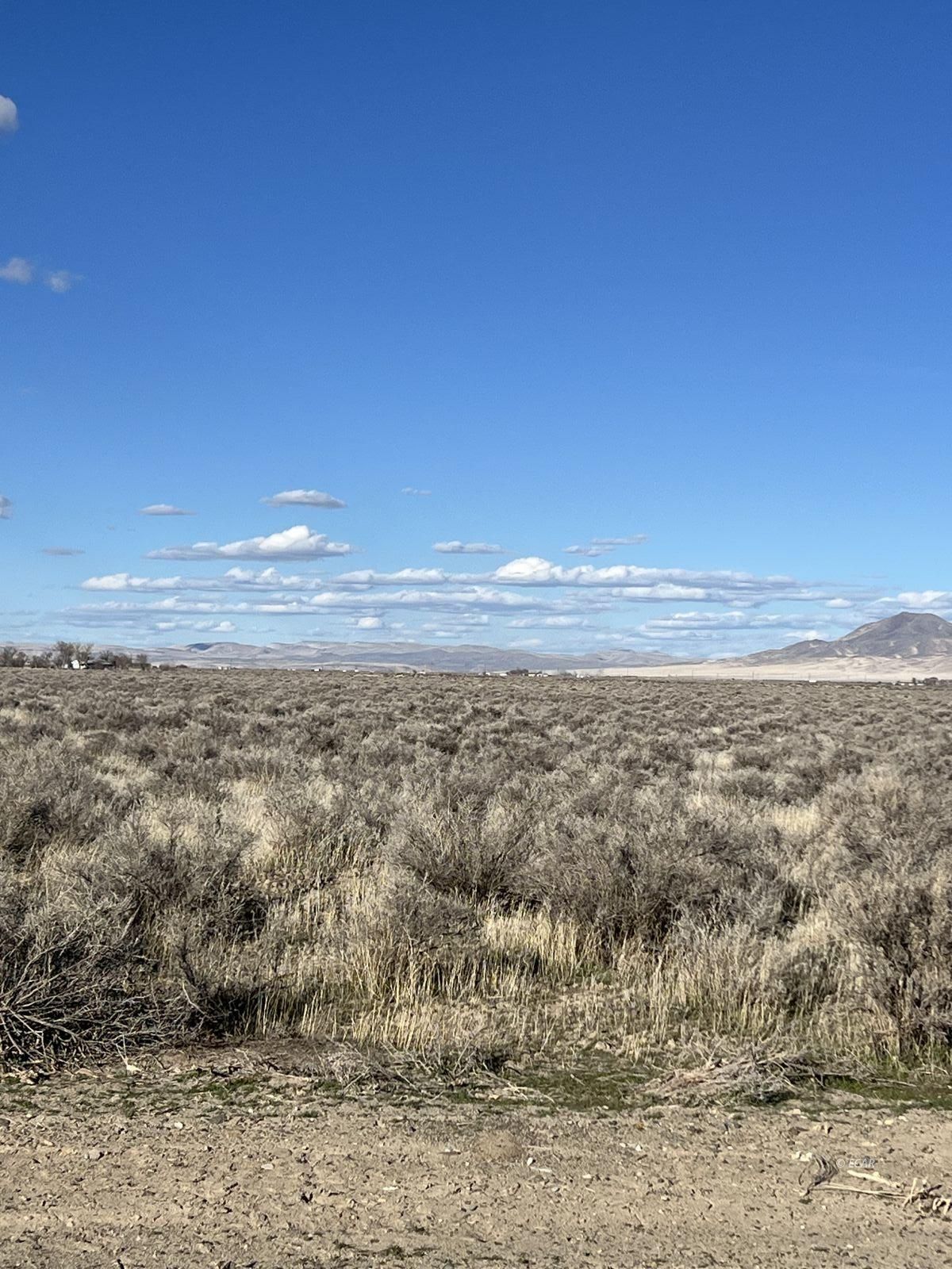 Tbd Godchaux Road Property Photo 5