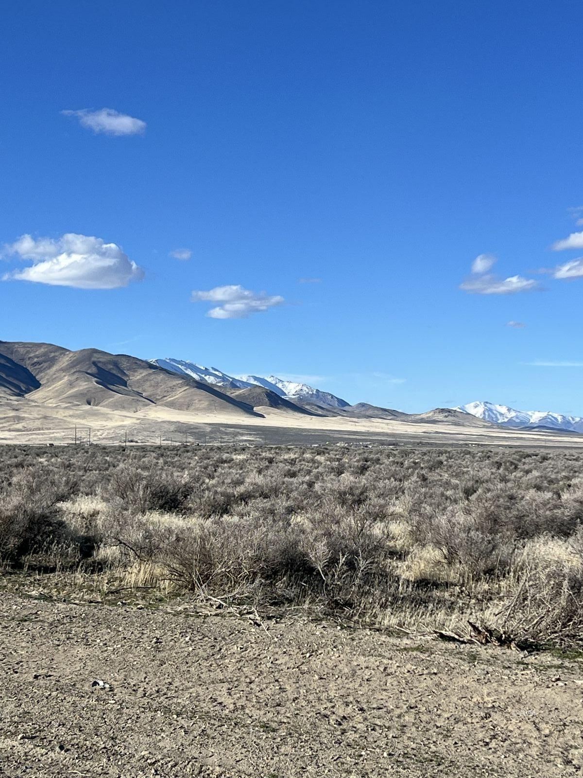 Tbd Godchaux Road Property Photo 6