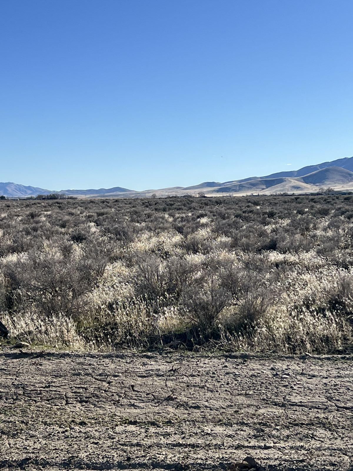 Tbd Godchaux Road Property Photo 9