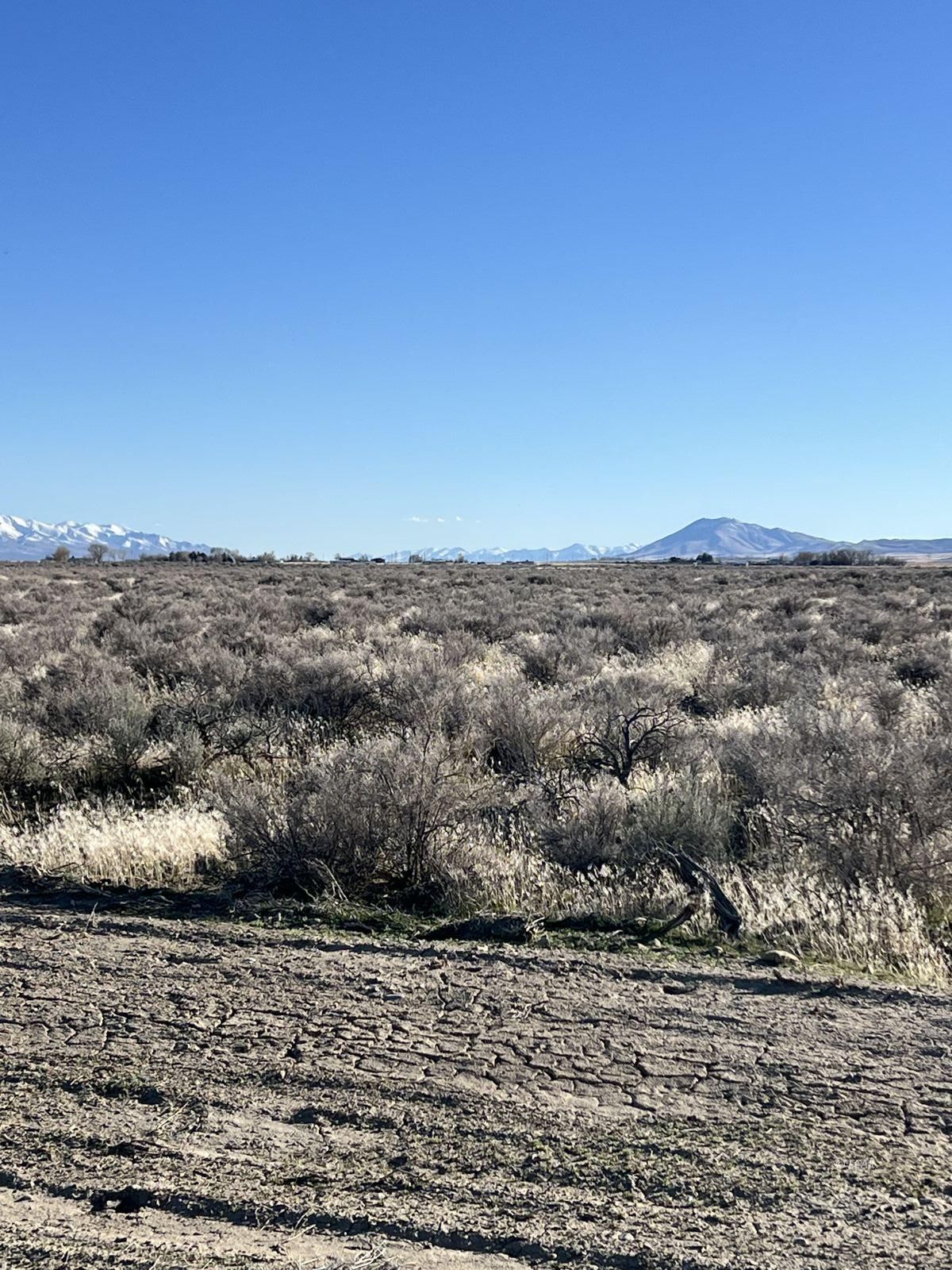 Tbd Godchaux Road Property Photo 10