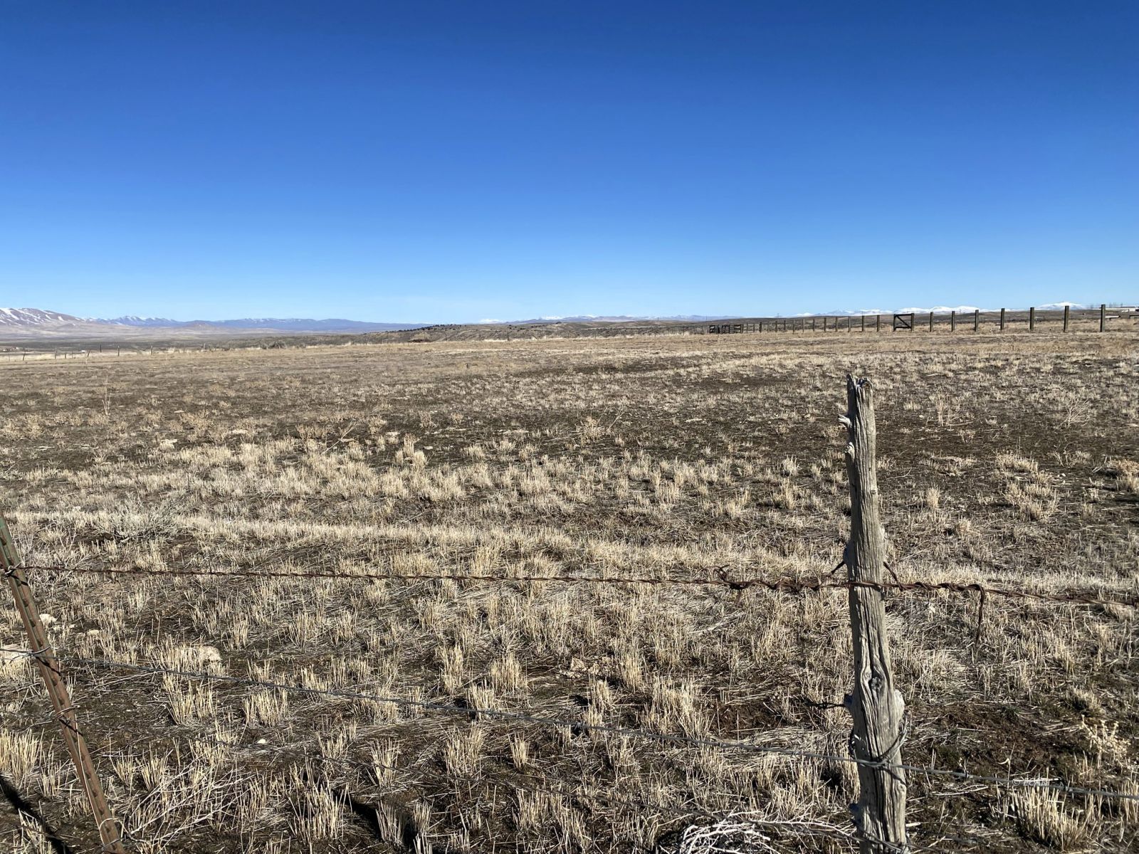 Hog Tommy Road Property Photo 15