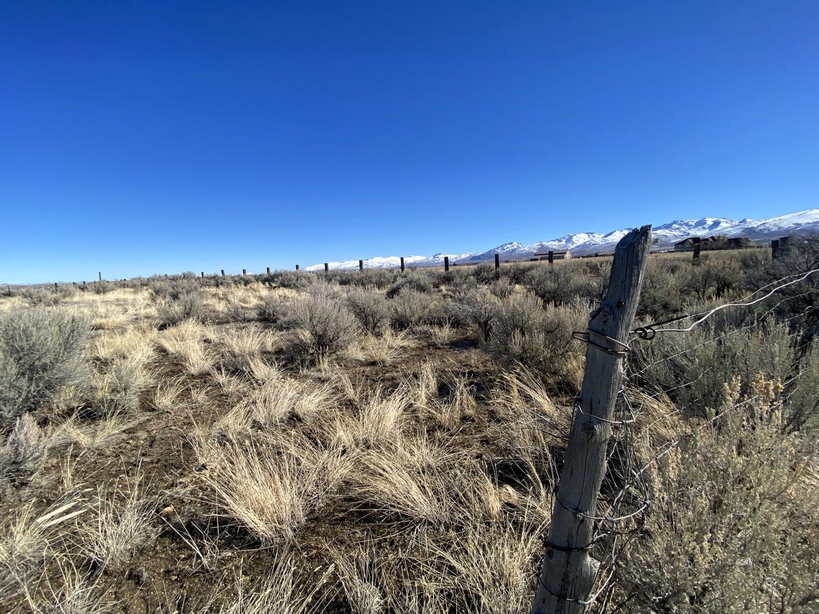 Hog Tommy Road Property Photo 17