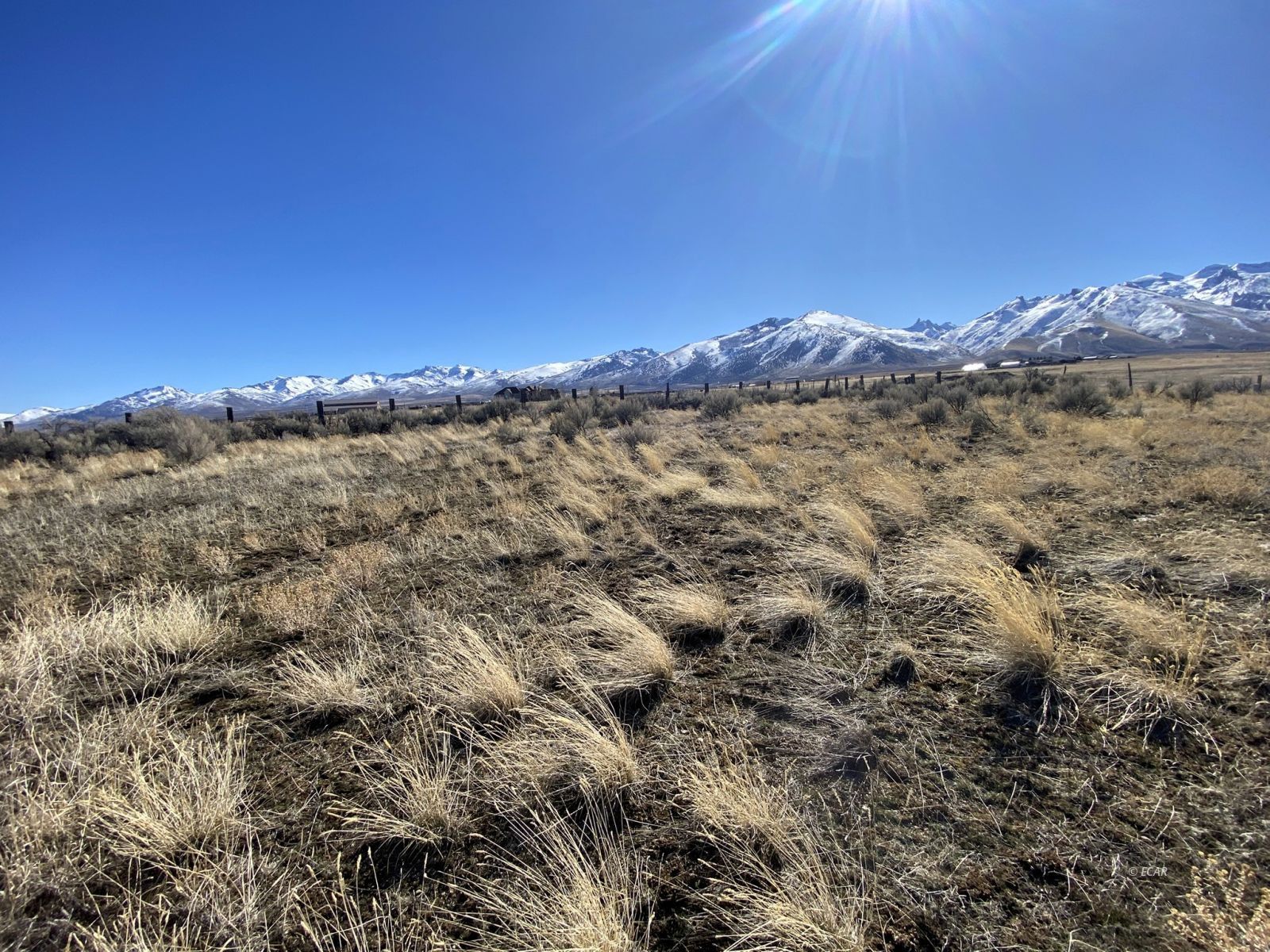 Hog Tommy Road Property Photo 18