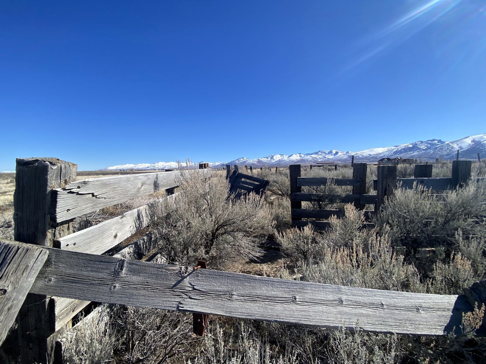 Hog Tommy Road Property Photo 19