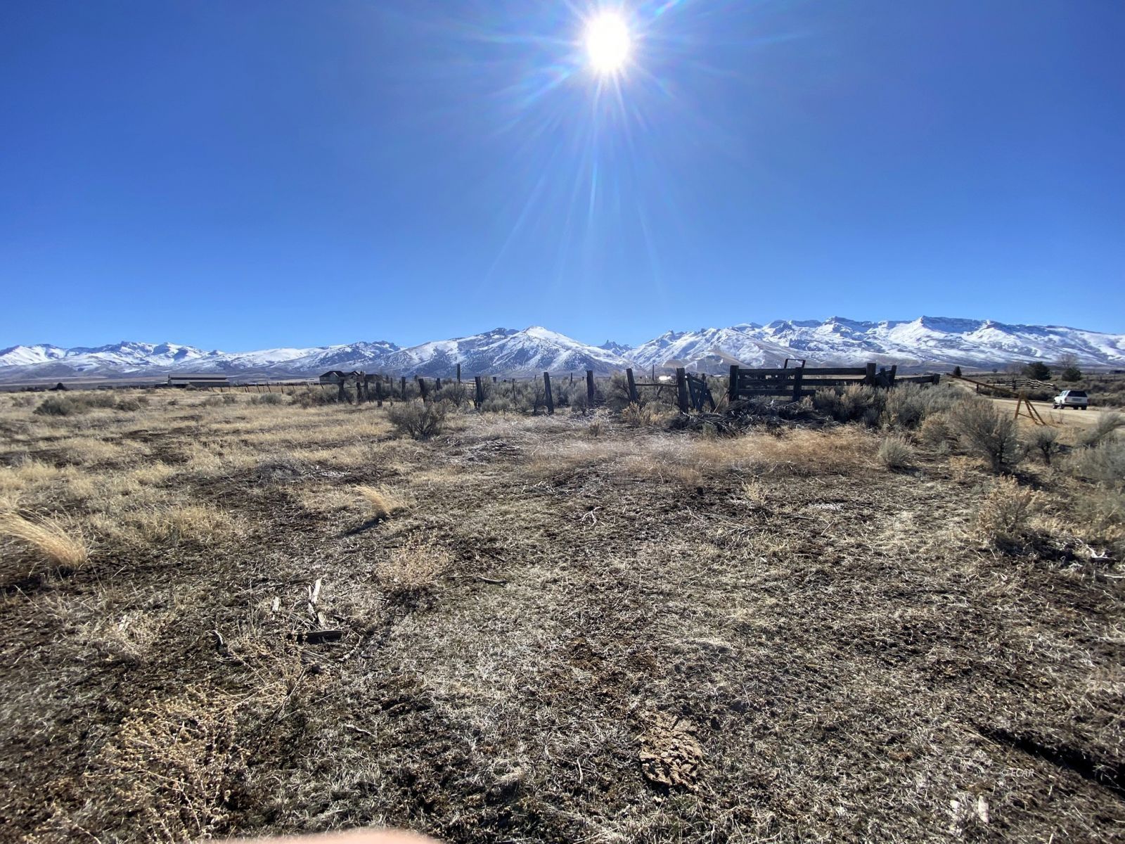 Hog Tommy Road Property Photo 20