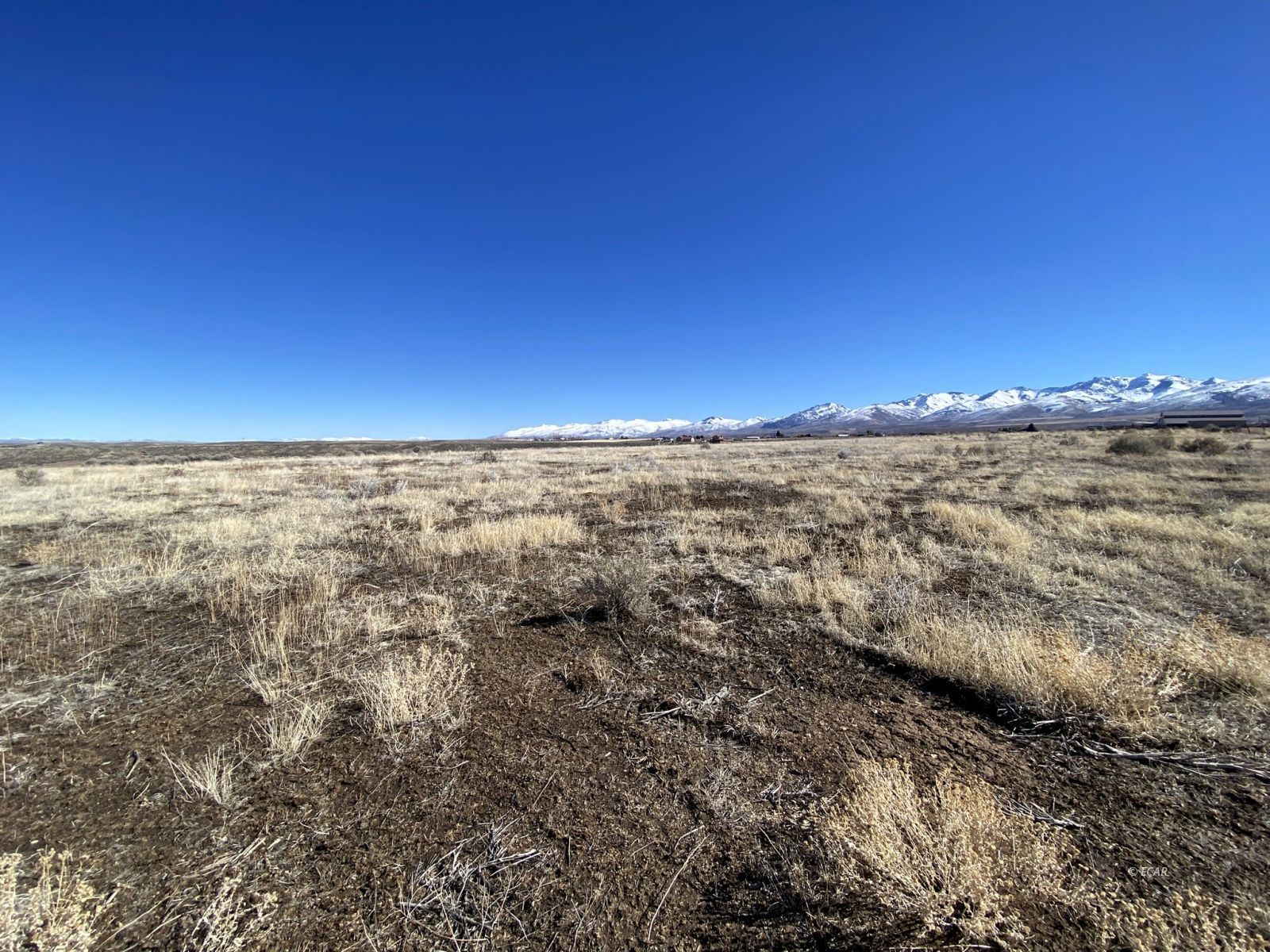 Hog Tommy Road Property Photo 21