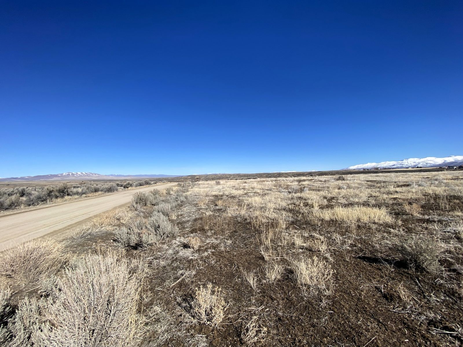 Hog Tommy Road Property Photo 22