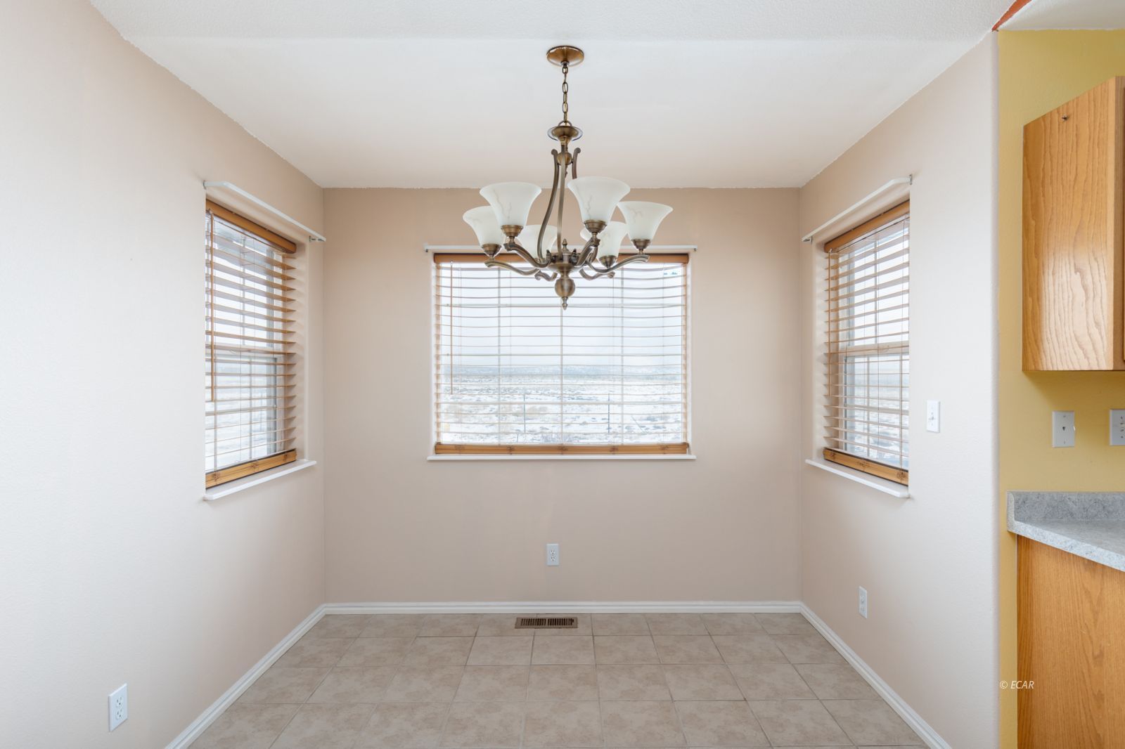 382 Oakmont Drive Property Photo 11