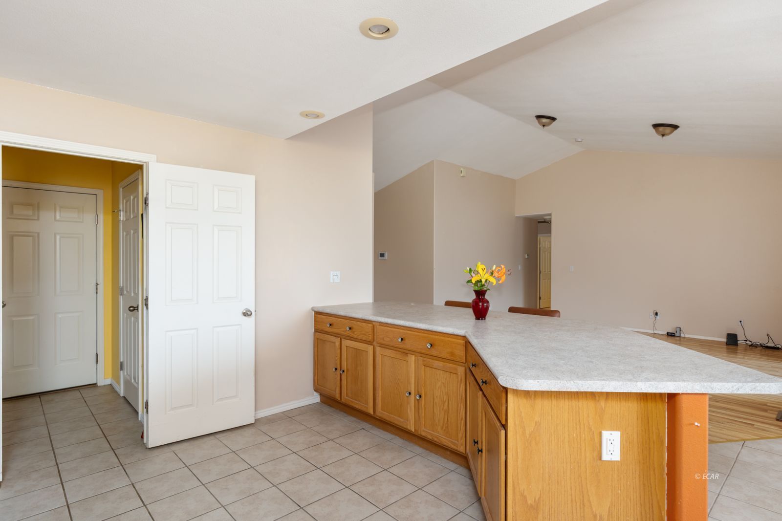 382 Oakmont Drive Property Photo 13