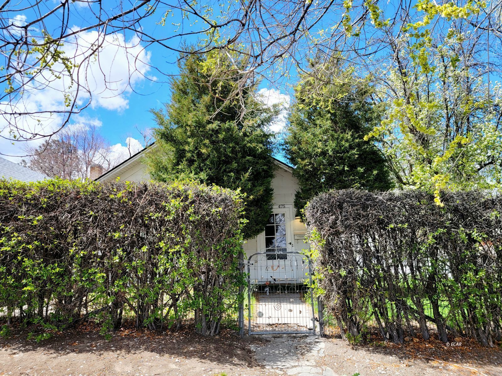 475 Juniper Street Property Photo 2