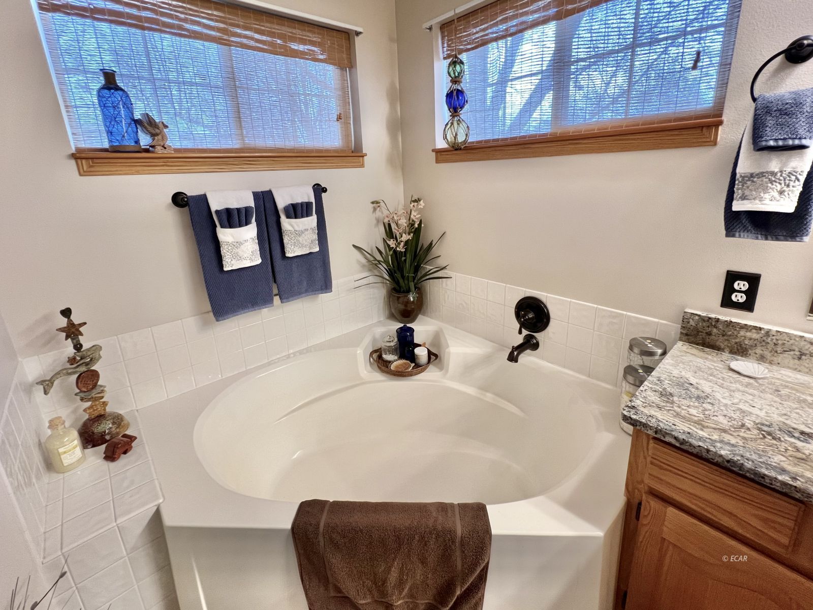 107 Meadow Ridge Court Property Photo 31