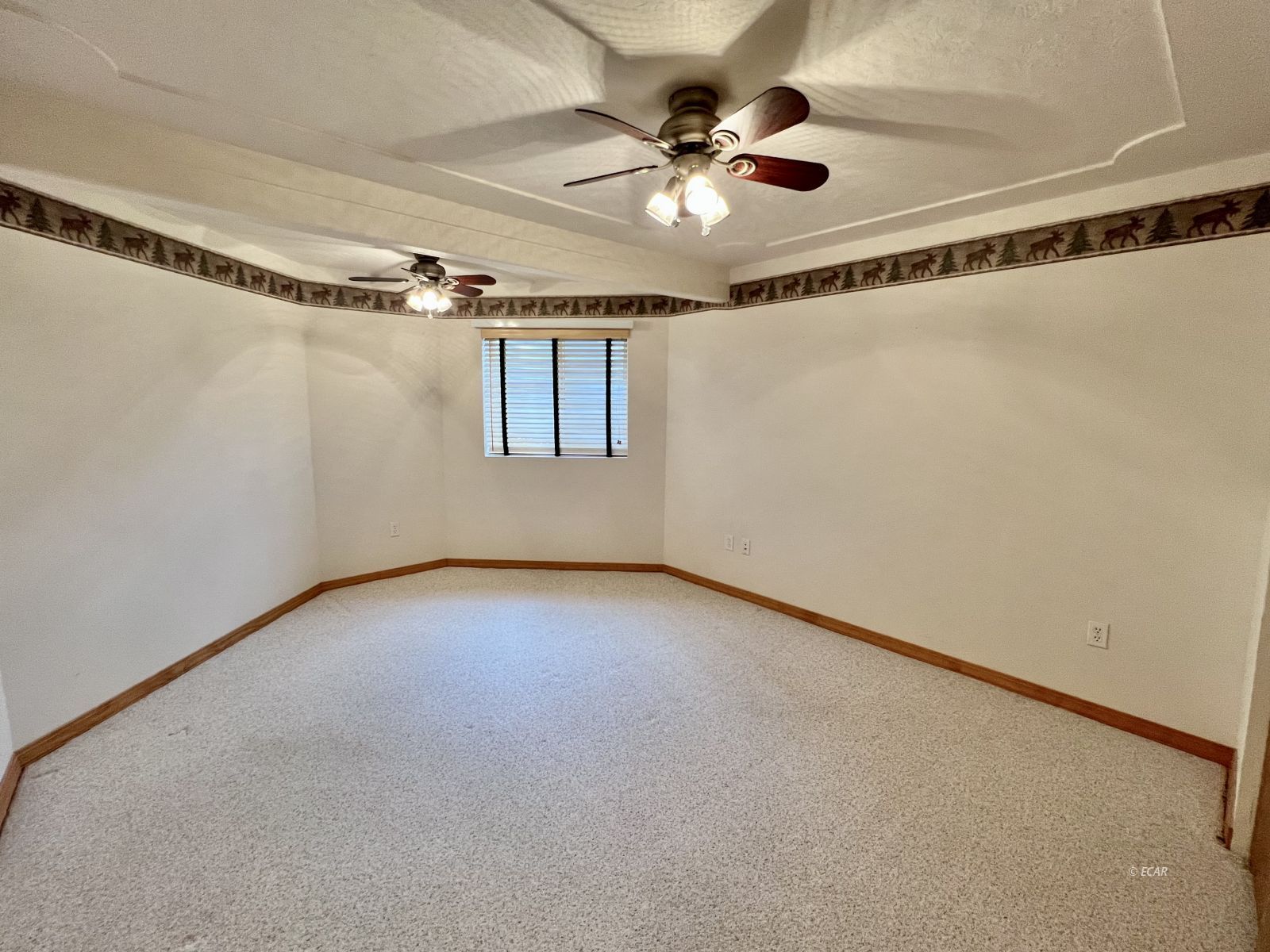 107 Meadow Ridge Court Property Photo 37