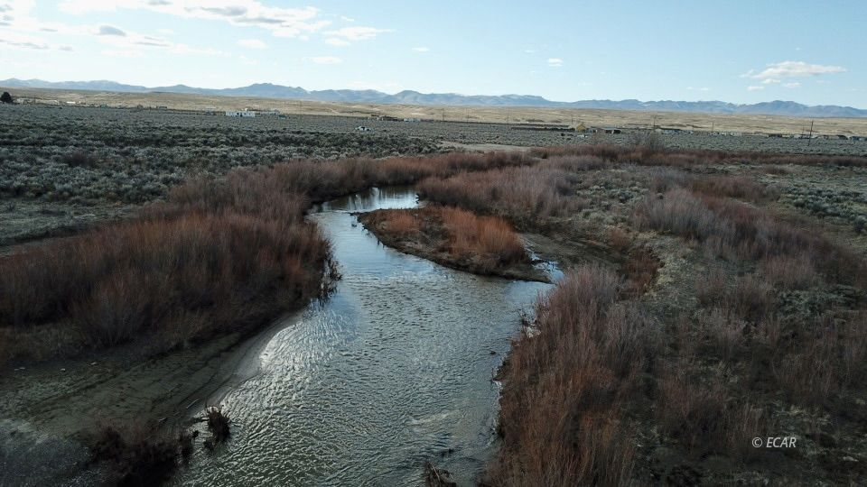 4.81 Acres Kings River Boulevard Property Photo 2