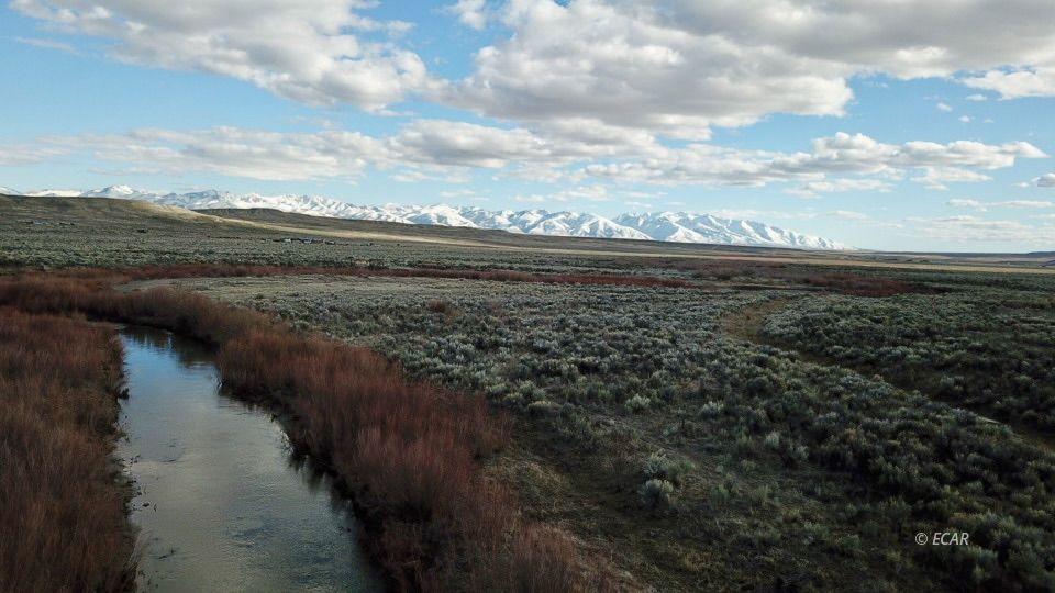 4.81 Acres Kings River Boulevard Property Photo 4
