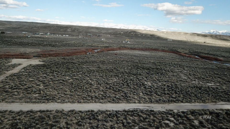 4.81 Acres Kings River Boulevard Property Photo 8
