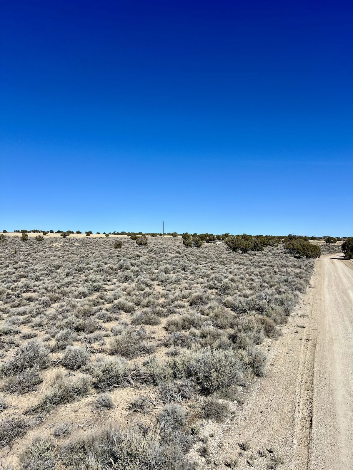 Lee Avenue Property Photo