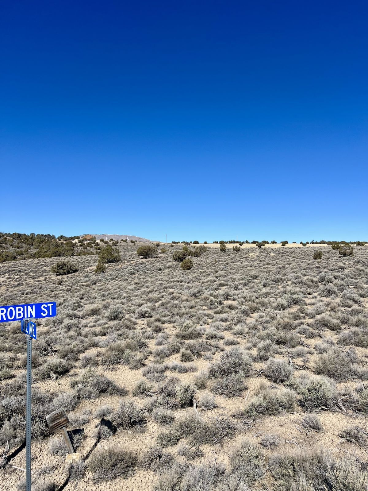 Lee Avenue Property Photo 2