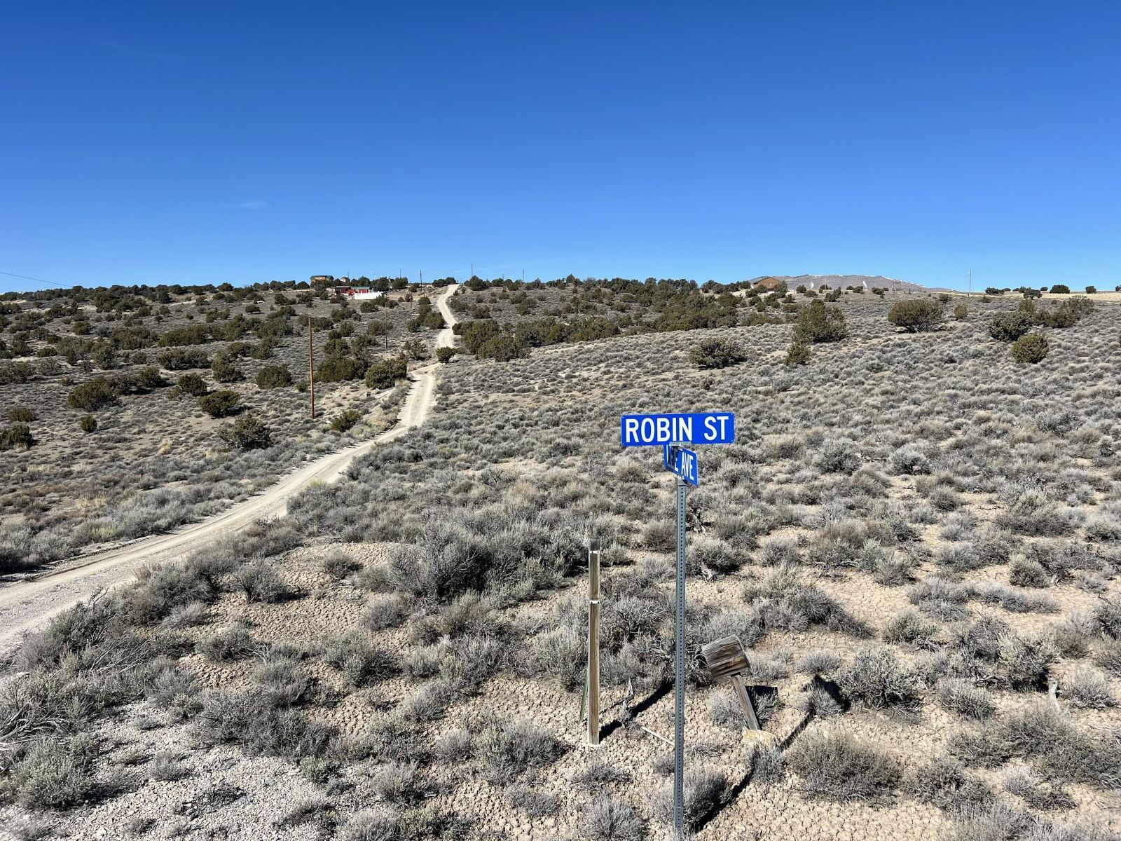 Lee Avenue Property Photo 4