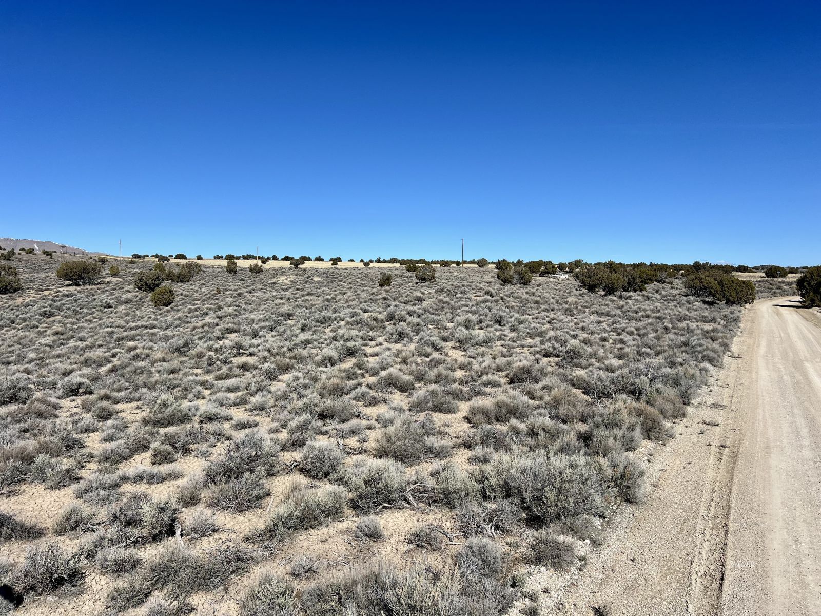 Lee Avenue Property Photo 5