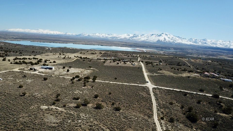 Lee Avenue Property Photo 12