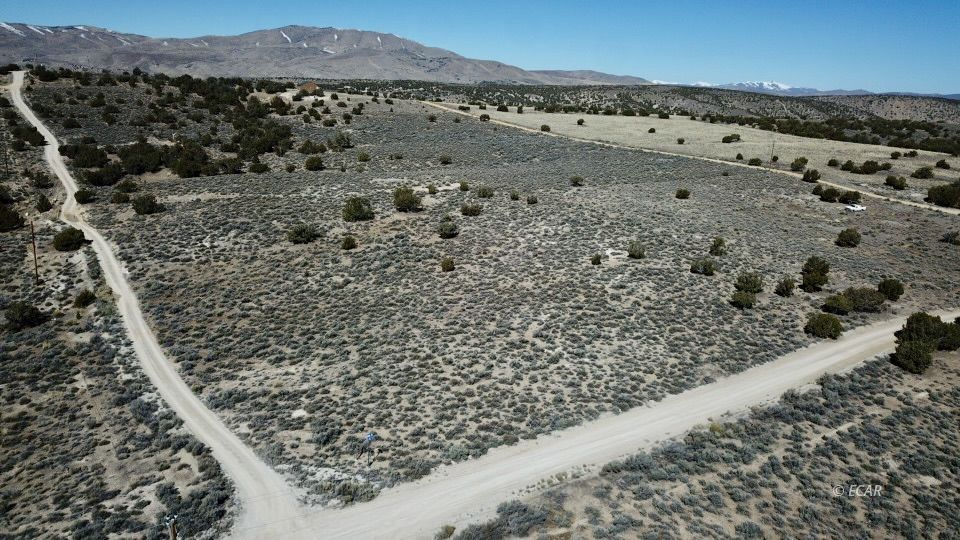 Lee Avenue Property Photo 18