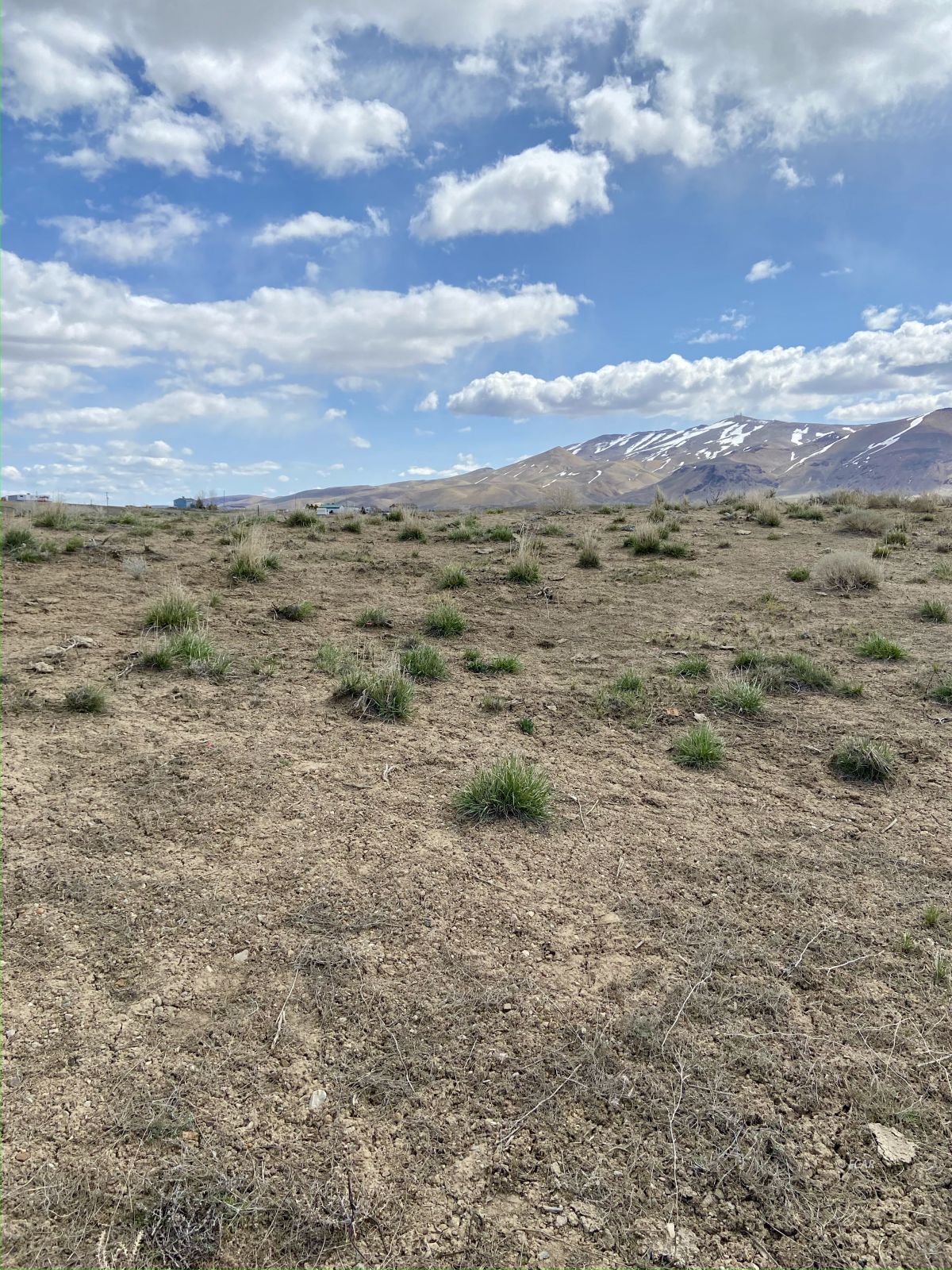 1 Acre Lance Drive Property Photo