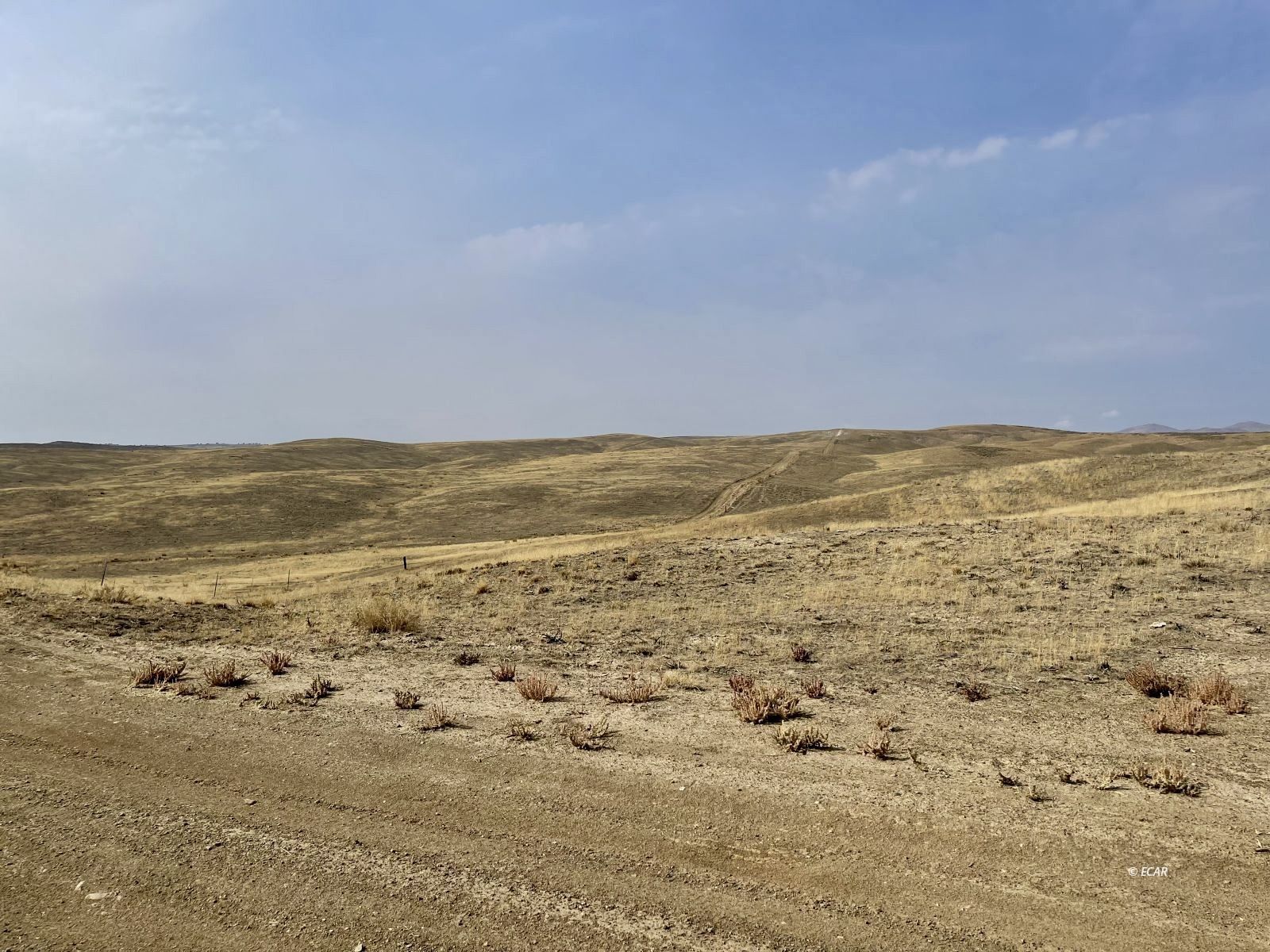 1 Acre Lance Drive Property Photo 3
