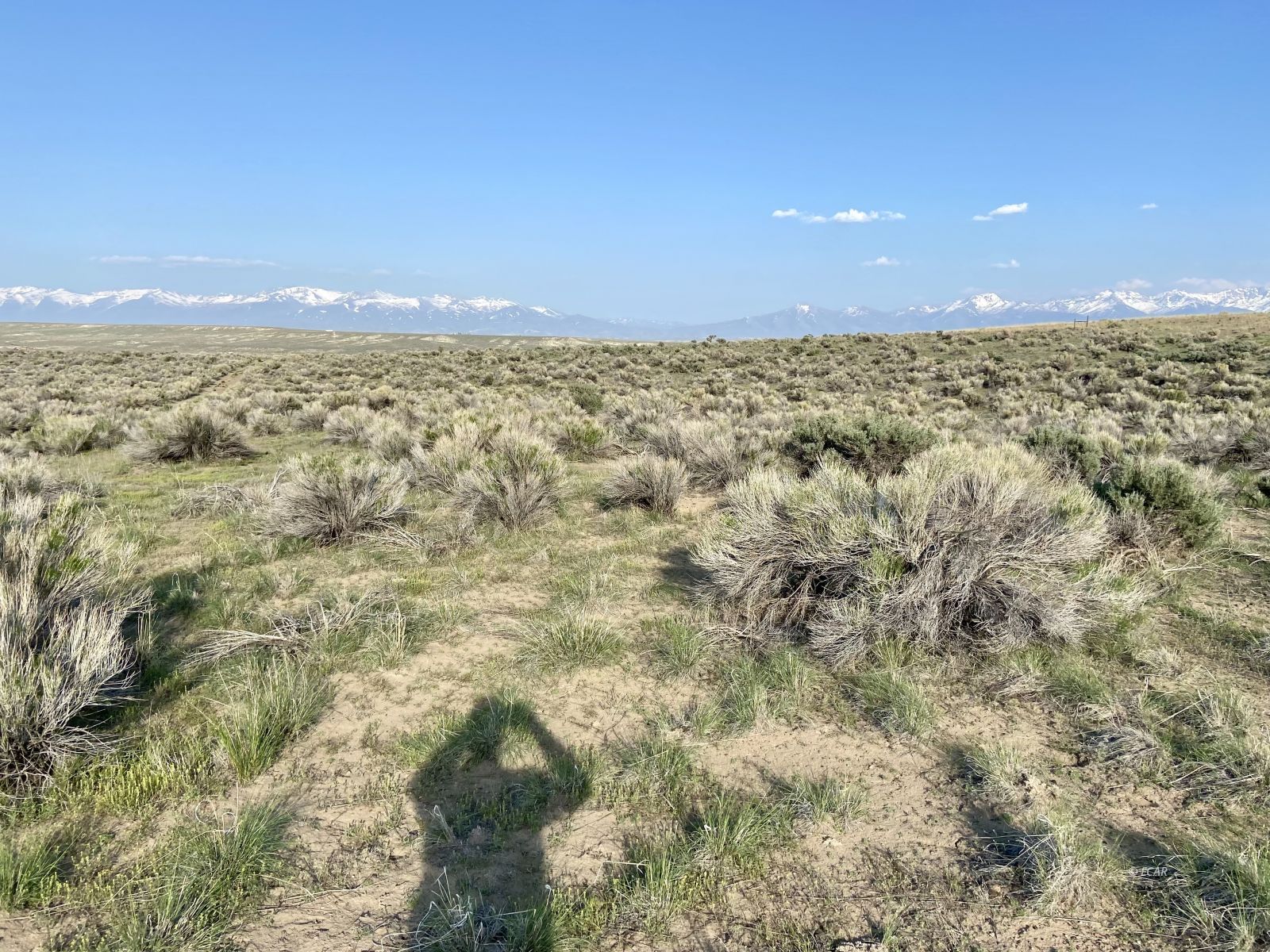 .93 Acres Aurora Drive Property Photo 2