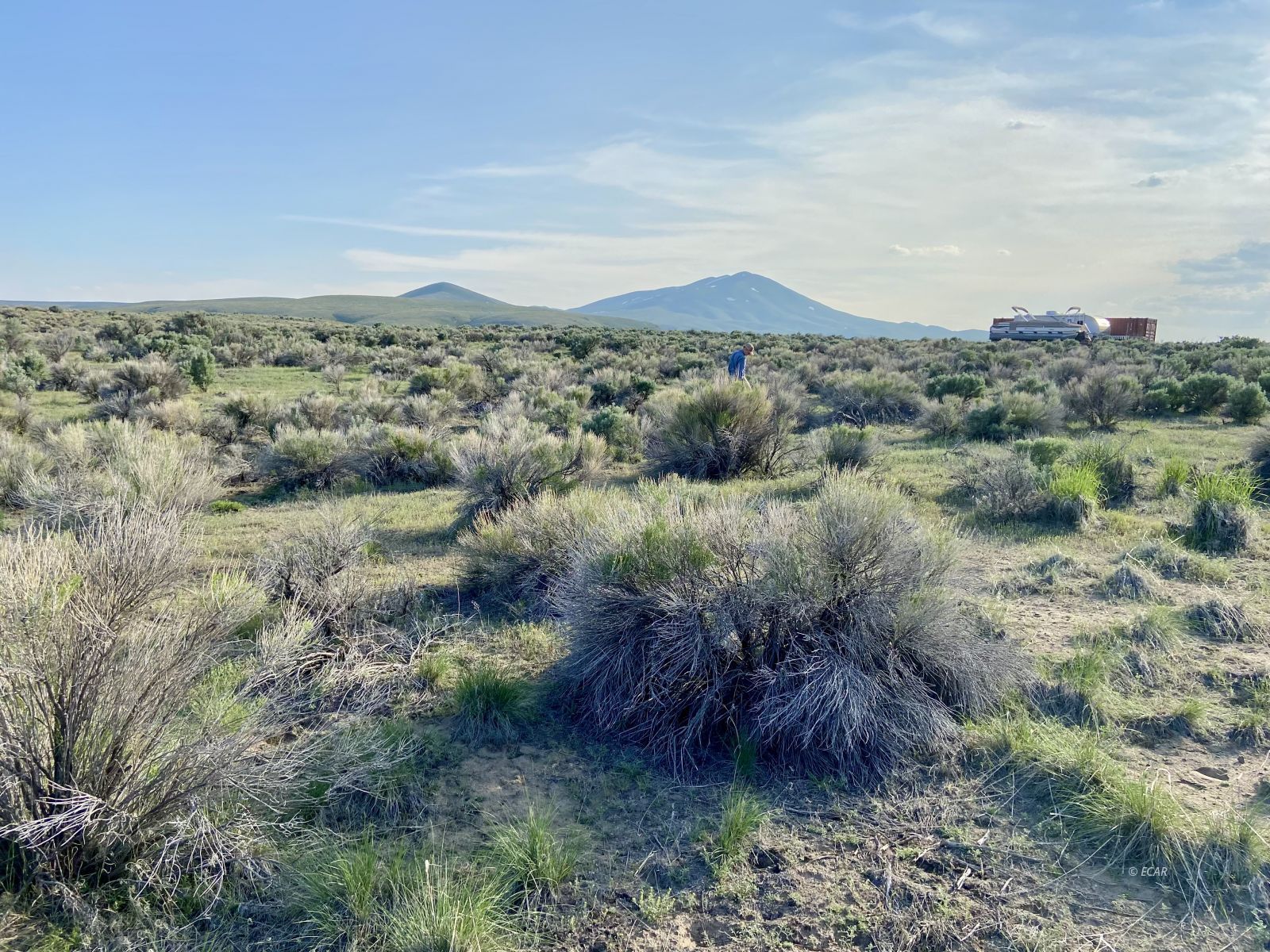.93 Acres Aurora Drive Property Photo 3