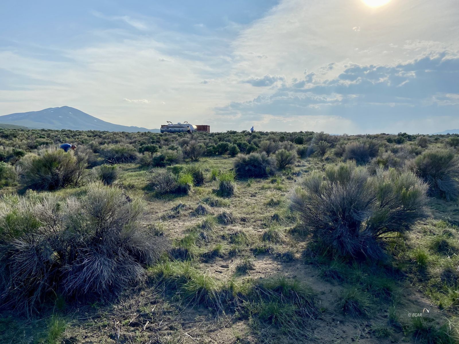 .93 Acres Aurora Drive Property Photo 4
