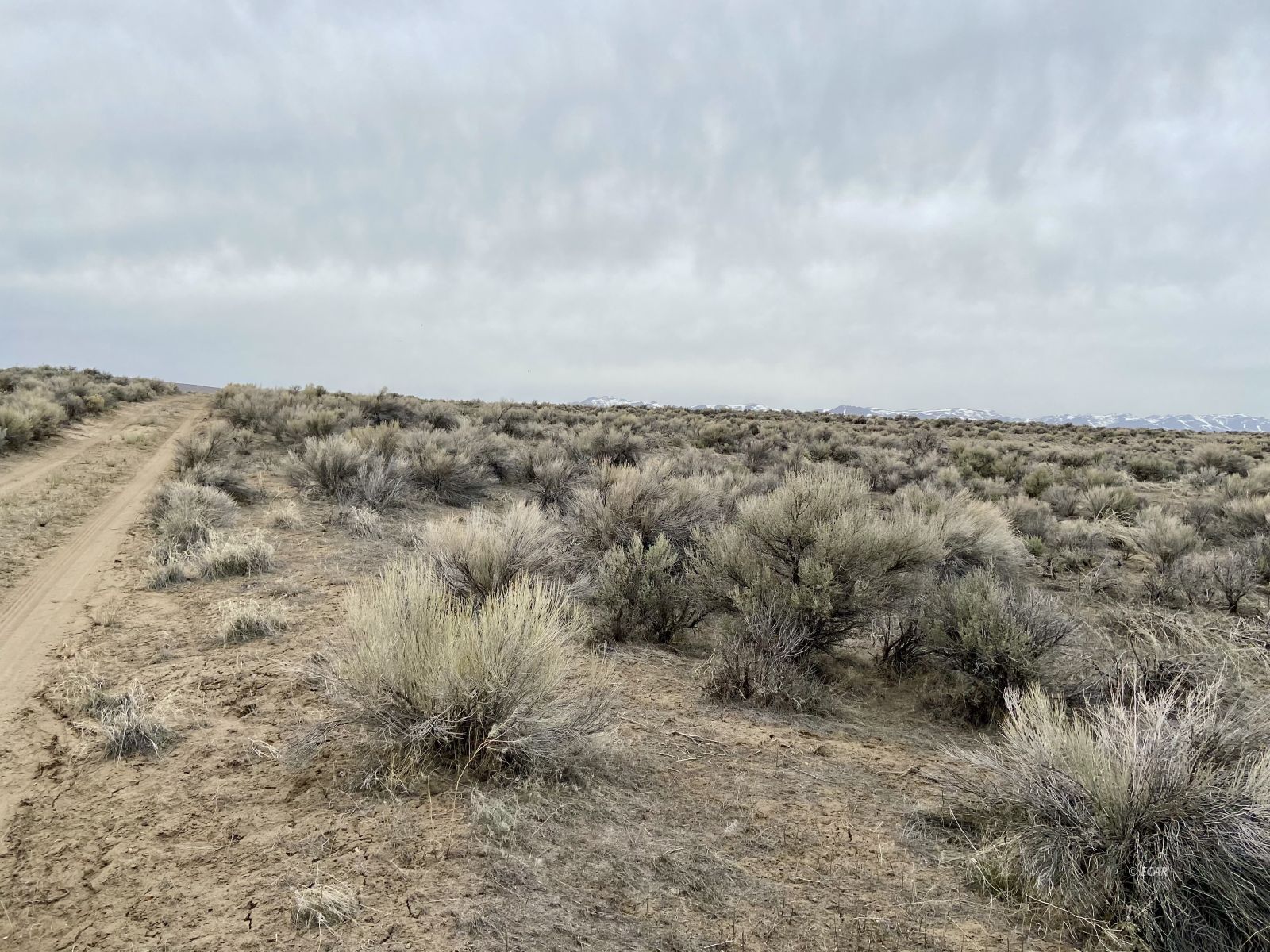 .93 Acres Aurora Drive Property Photo 8
