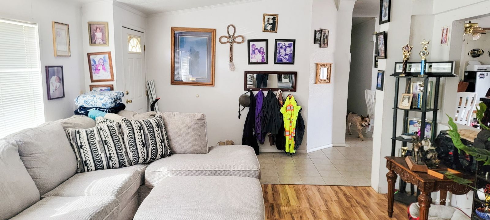 8114 Honey Do Road Property Photo 7