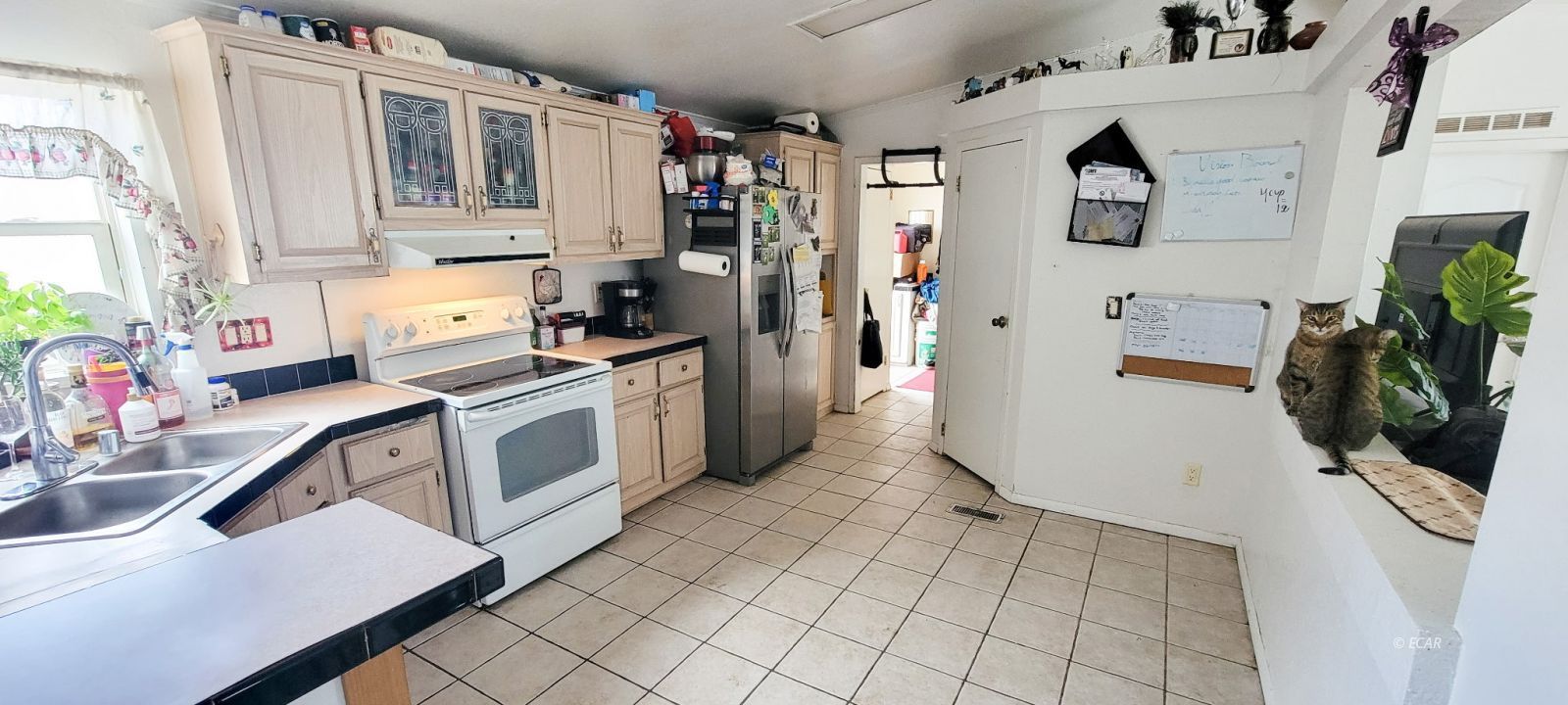 8114 Honey Do Road Property Photo 9