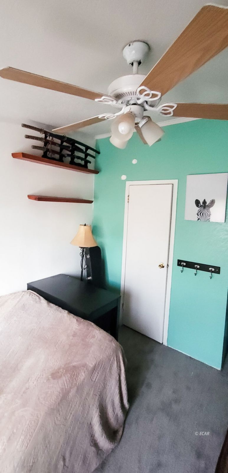 8114 Honey Do Road Property Photo 18