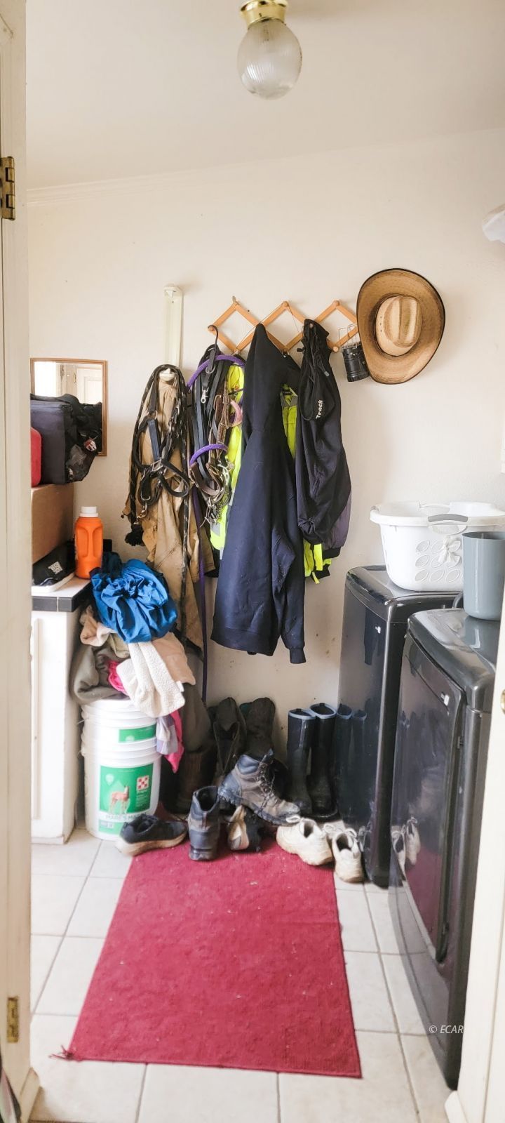 8114 Honey Do Road Property Photo 21
