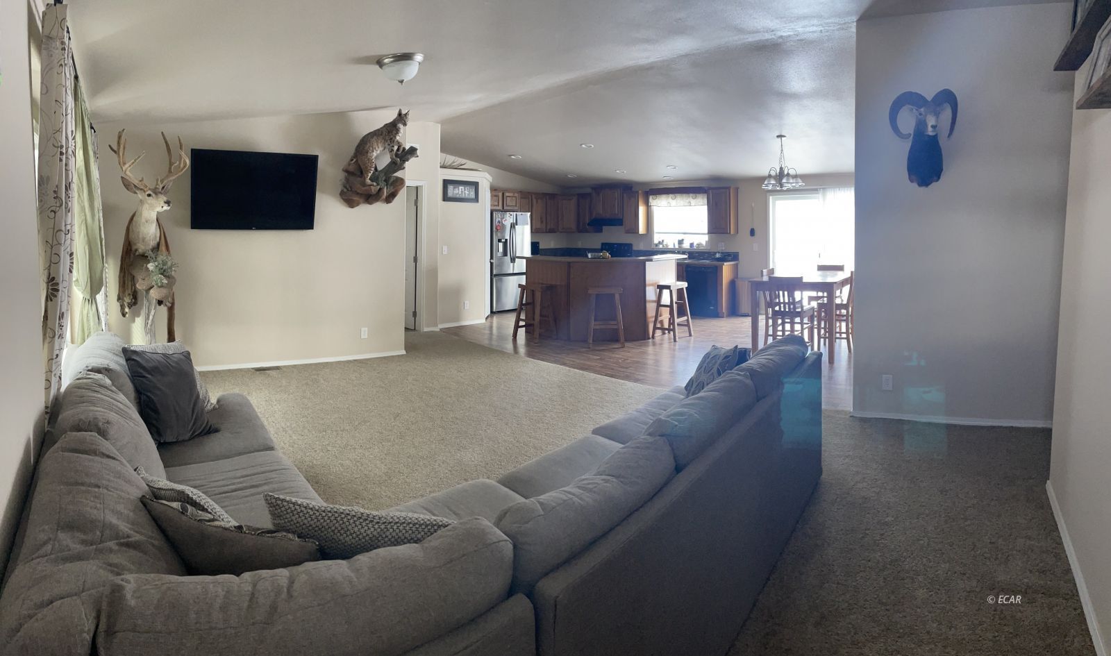3739 Lupine Street Property Photo 3