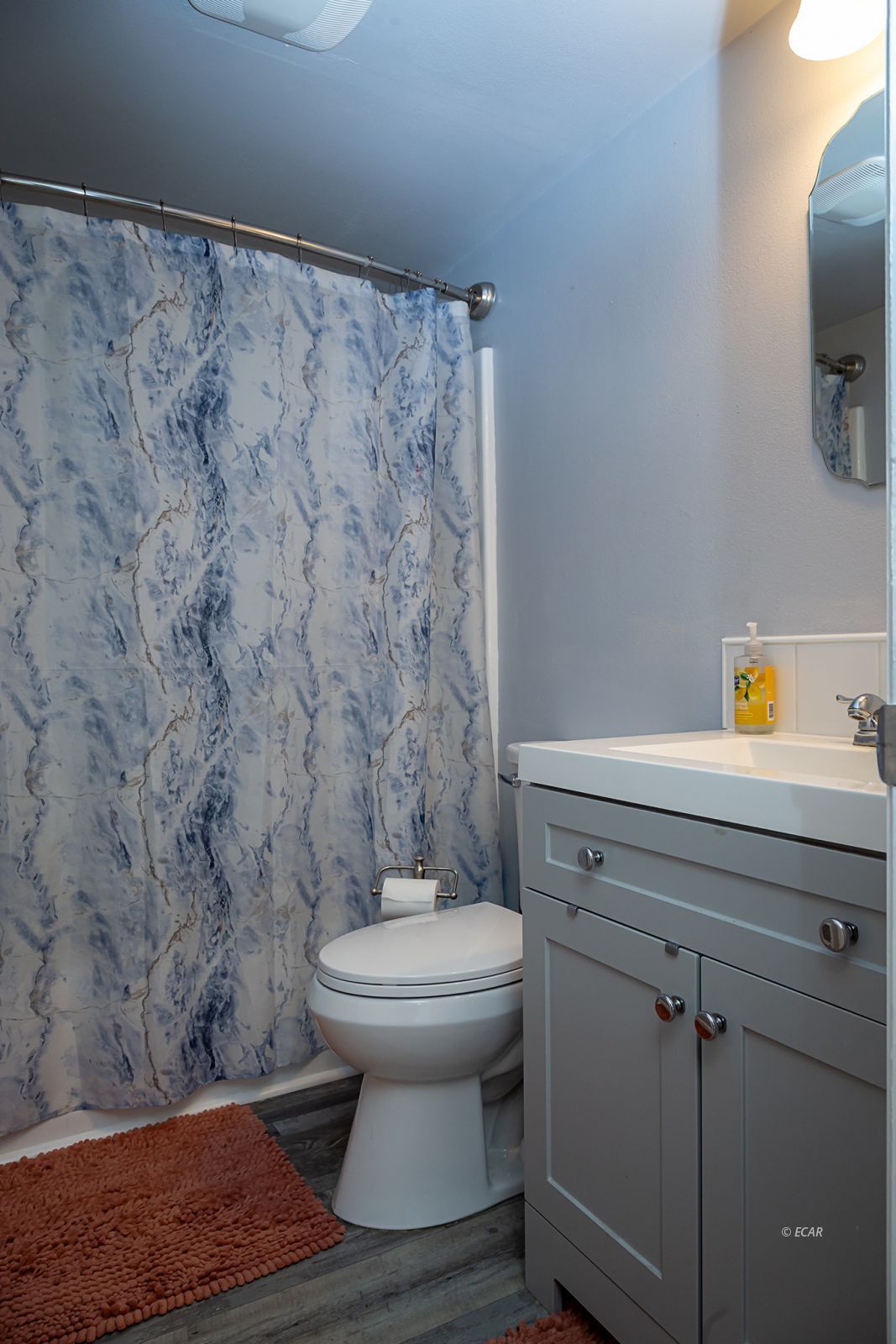 807 Hogan Street Property Photo 20