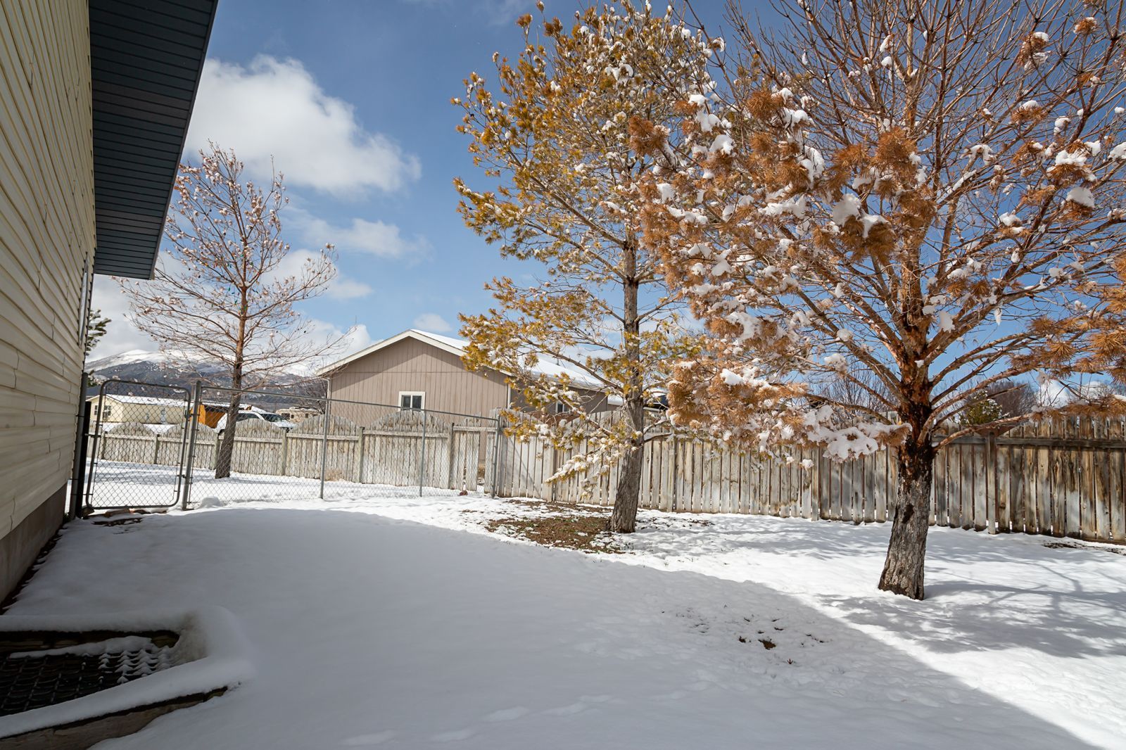 807 Hogan Street Property Photo 27