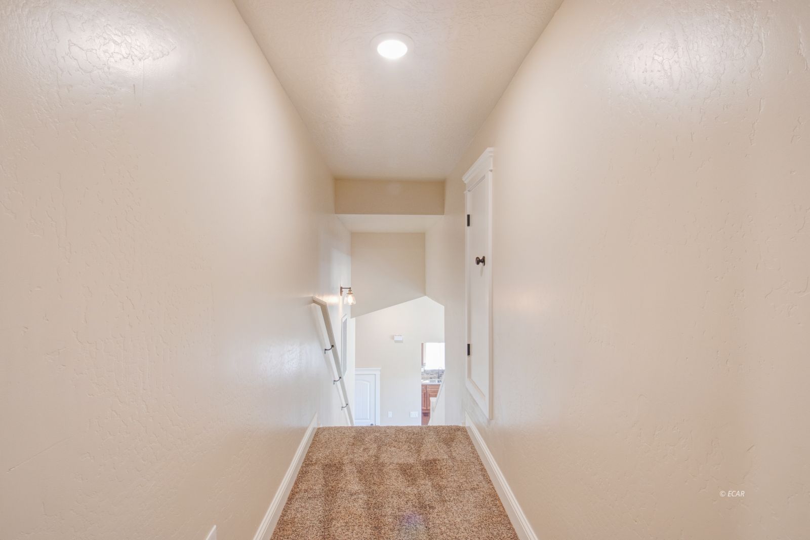 2165 Hog Tommy Road Property Photo 24